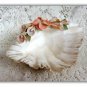 Decorative Collectible Seashell Shell Dish