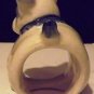 Vintage Made In Japan Small 3 Inch Long Porcelain Bulldog Bull Dog Figurine
