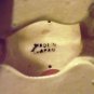 Vintage Made In Japan Small 3 Inch Long Porcelain Bulldog Bull Dog Figurine