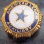 Vtg Masonic Order of Rainbow Merit Bar Pin 7 Service Bars Pot of Gold 4 Xtras