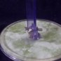 Clear Plastic Platform Bra Form Display Mannequin
