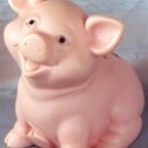 Washington Mutual School Savings Rubber Piggy Bank