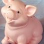 Washington Mutual School Savings Rubber Piggy Bank