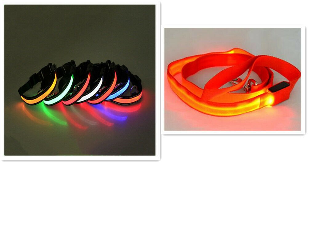 LED Collar and Leash