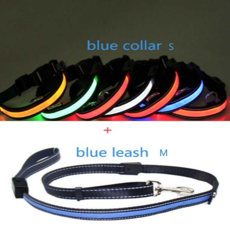 LED Dog collar and leash combination