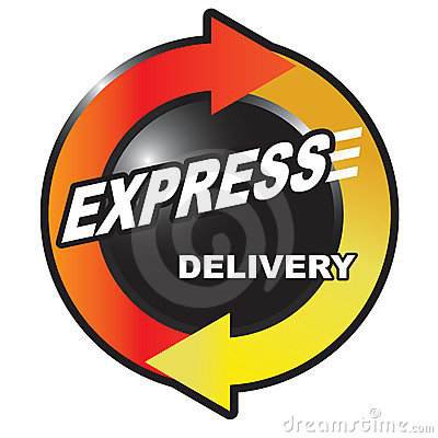 Express Delivery Option 1
