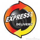 Express Delivery Option 1