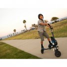 Black Go Kiddo Cart Carving 250 Watt Electric Scooter
