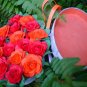 Flower boxes