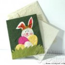 Cards (Animal Collection)