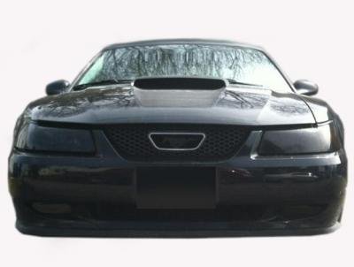 Mustang smoked tinted HEAD LIGHT covers vinyl 99 04