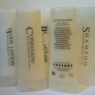 5x Caresars Palace Tangerine Olive Flower Travel Size Shampoo~Conditioner~Lotion