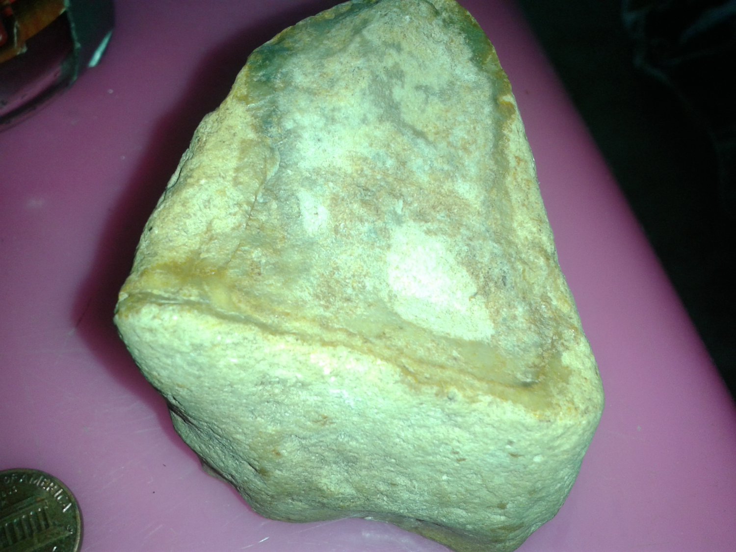 Dinosaur Fossil Bone