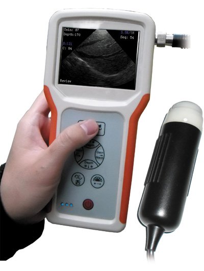 Convenient Portable ultrasound veterinary Vet Ultrasound Scanner for SALE !