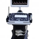 ultrasound machine C200 Trolley Color Doppler Ultrasound equipments