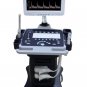 ultrasound machine C200 Trolley Color Doppler Ultrasound equipments