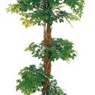 Mini Arelixa Tree 5ft