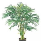 Areca Palm Tree (4 feets tall)