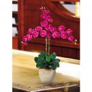 Triple Stem Phalaenopsis Silk Orchid Flower Arrangement -  Beauty