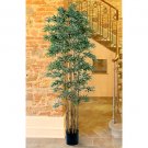 7' Bamboo Japanica Silk Tree