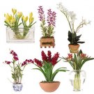 Miniature Arrangements Assortment 2