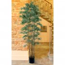6' Bamboo Japanica Silk Tree