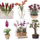 Miniature Arrangements Assortment 3