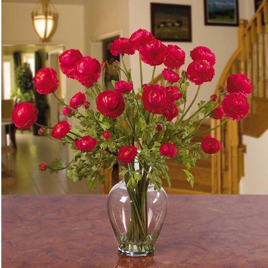 Ranunculus Liquid Illusion - Red