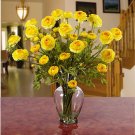 Ranunculus Liquid Illusion - Yellow