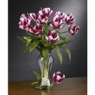 Parrot Tulips Stems (12 Stems) - Raspberry