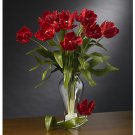 Parrot Tulips Stems (12 Stems) - Red