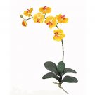 Phalaenopsis Orchid Silk Flowers (6 Stems) - Yellow