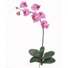 Phalaenopsis Orchid Silk Flowers (6 Stems) - Mauve