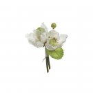 5" Japonica Corsage - 24 each