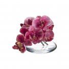 5.5" Phalaenopsis (glass) -  wedding centerpieces