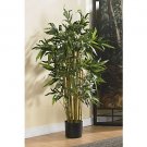 3' Biggy Bamboo Silk Tree