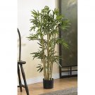 3' Multi Bambusa Bamboo Silk Tree