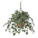 Holland Ivy Hanging Basket Silk Plant