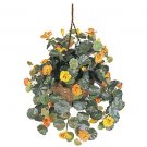 Nasturtium Hanging Basket Silk Plant