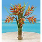 Heliconia Liquid Illusion