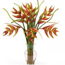 Heliconia Liquid Illusion
