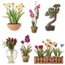 Miniature Arrangements Assortment 1