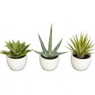 Southwest Collection (Set of 3)