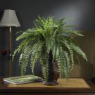 Boston Fern w/Urn Silk Plant
