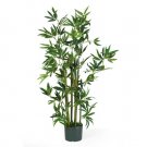4' Bamboo Silk Tree