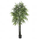 6' Weeping Bamboo Silk Tree