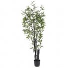 6.5' Black Bamboo Tree (2 Thick Trunks)