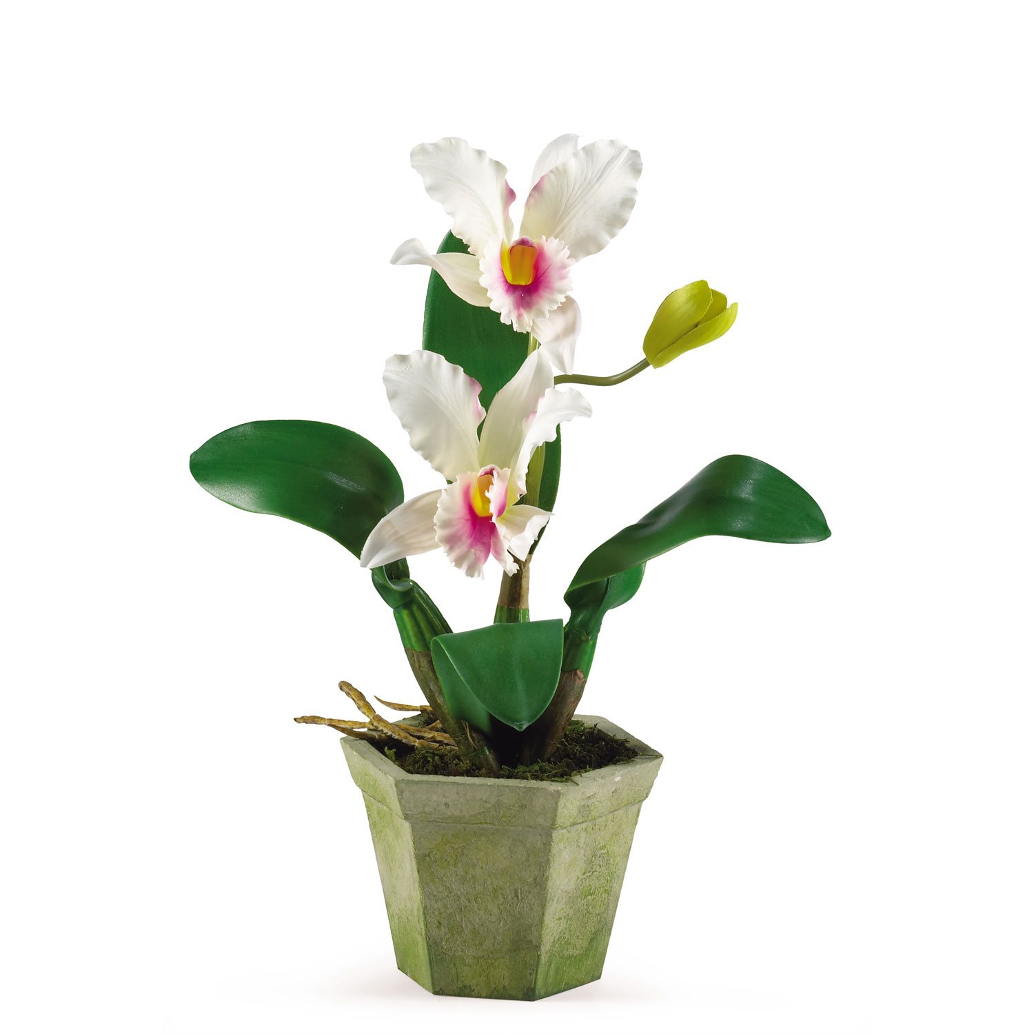 Cattleya Silk Orchid Flower Arrangement (White)