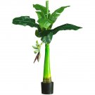 3' Banana Tree