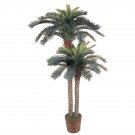 6' and 4' Double Potted Sago Palm Silk Tree